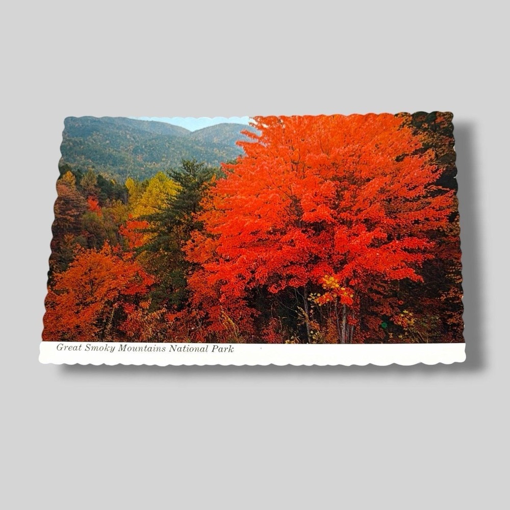 Postcard Great Smoky Mountains National Park Fall Foliage Tennessee 4x6 C302